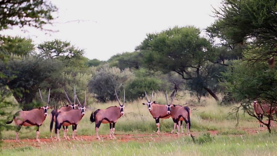 Commercial Property for Sale in Barkly West Rural Northern Cape